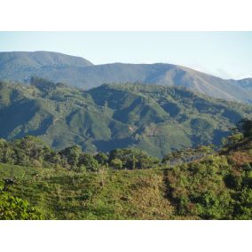 Kostarika Tarrazu, STREDNE PRAŽENÁ, zrnková káva arabica